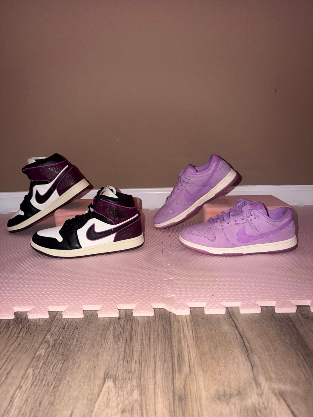 2 for 1 Deal (Nike Air Jordan 1 Plum/Magenta) + (Nike Low All Lavender Dunks)